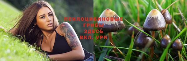 кокс Арсеньев