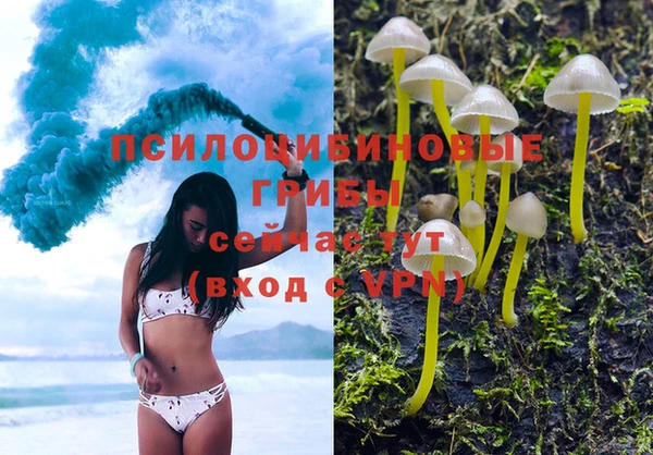 герыч Аркадак