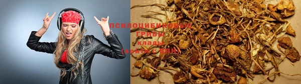 кокс Арсеньев
