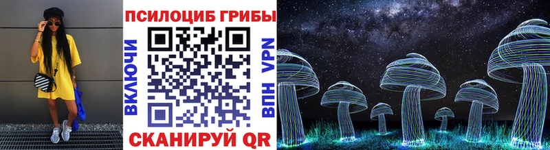 Псилоцибиновые грибы Psilocybe  Ессентуки 