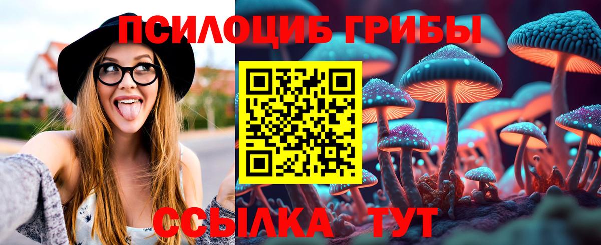 Ессентуки  Галлюциногенные грибы GOLDEN TEACHER  Вход с VPN 