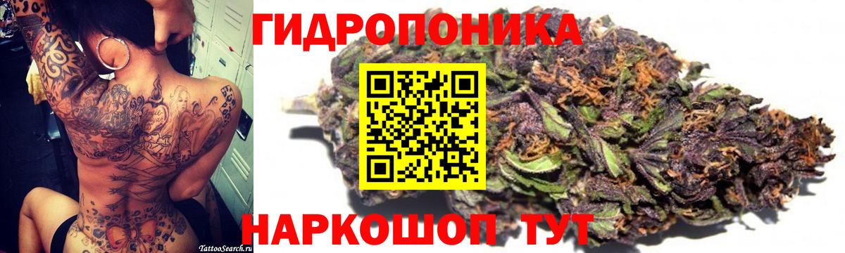 Шишки марихуана сатива  Вход с VPN  Каннабис VHQ  Ессентуки 